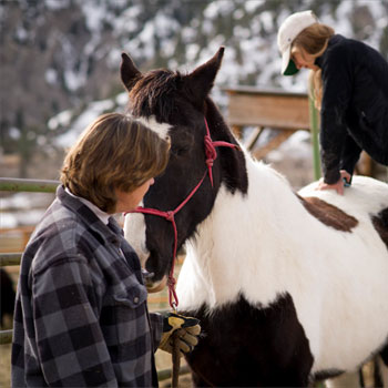 Check-us-out-in-the-latest-edition-of-The-Horse-Magazine