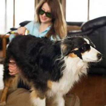 Colorado-On-Site-in-the-Vail-Daily