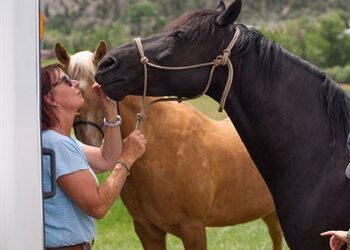 Vesicular Stomatitis found in Colorado