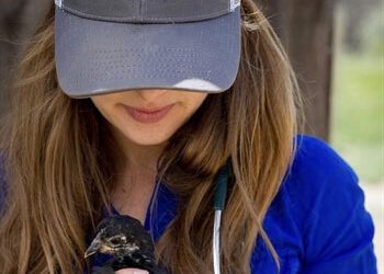 Backyard Poultry and Fowl Management