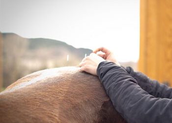Acupuncture Care : Integrative Therapy Care Services