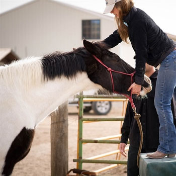 Chiropractic-Care-Integrative-Therapy-Care-Services