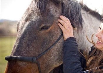 Equine Nutrition