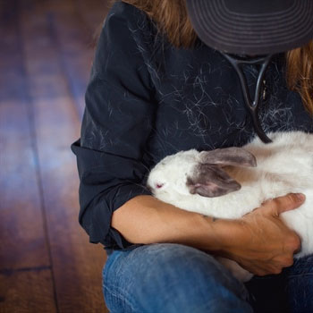 Exotic-&-Pocket-Pet-Care