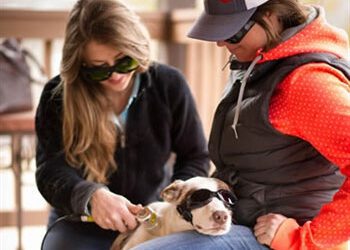 Laser Therapy Care: Integrative Therapy Care Services