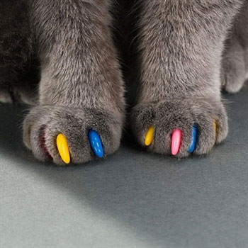 Cat-Claw-Caps