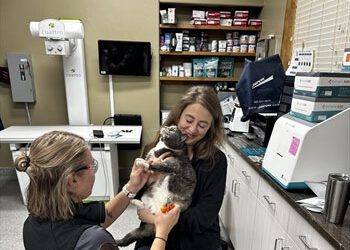Cat Nail Trim