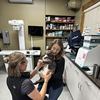 Cat-Nail-Trim