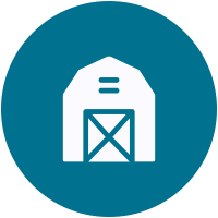 pet surgery icon