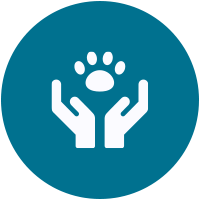 pet acupuncture icon