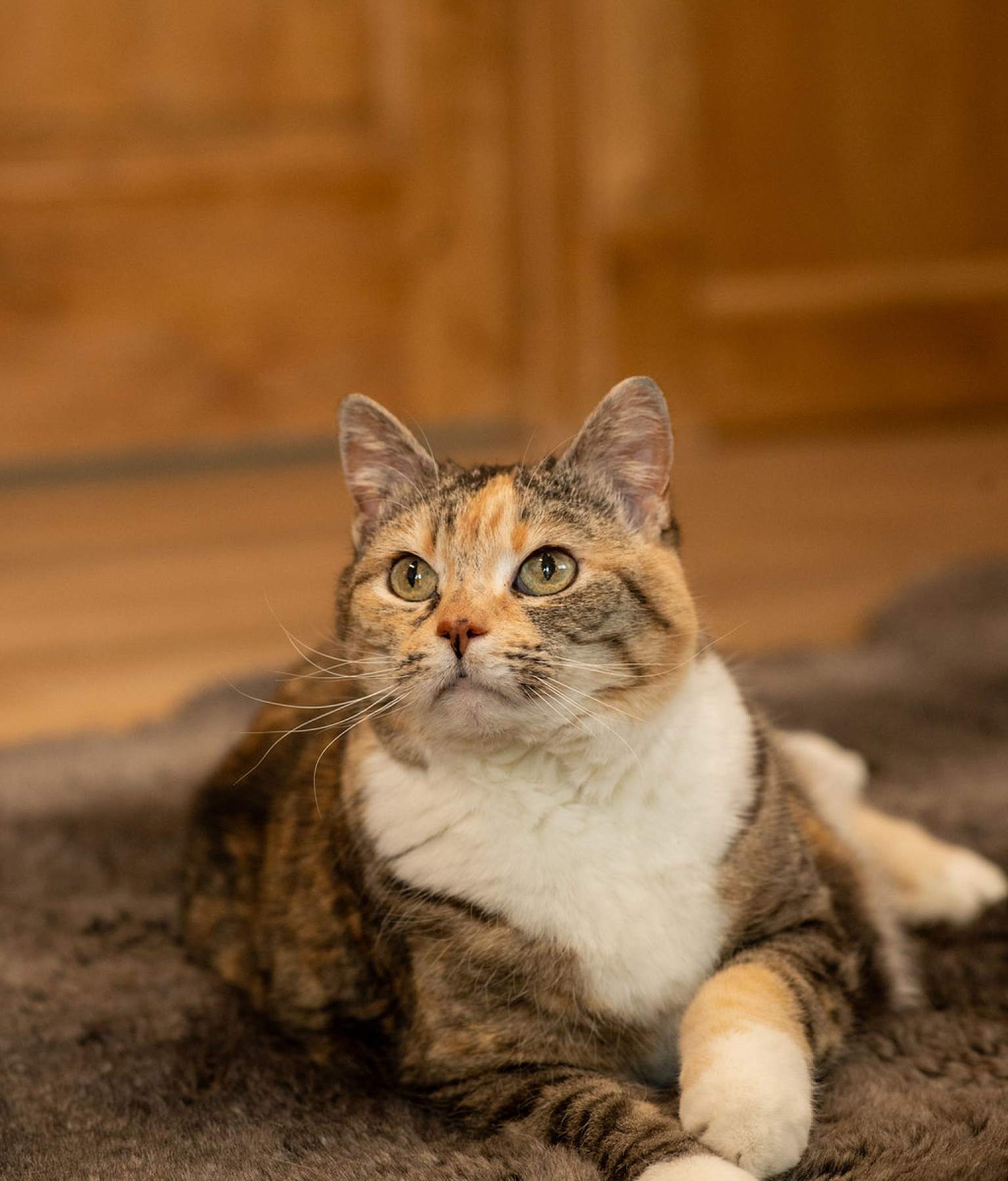 Frannie
