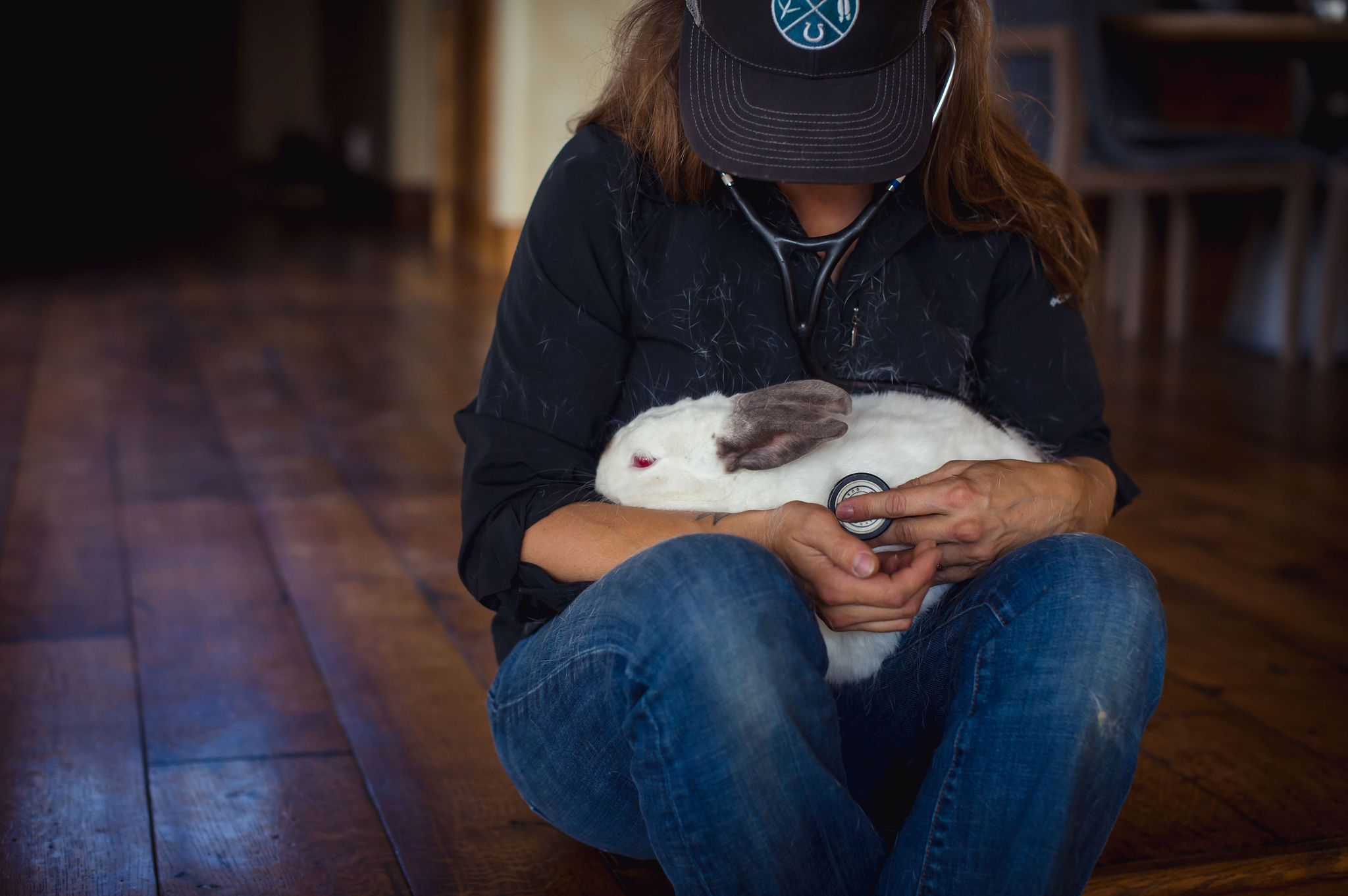 Hospice Pet Euthanasia