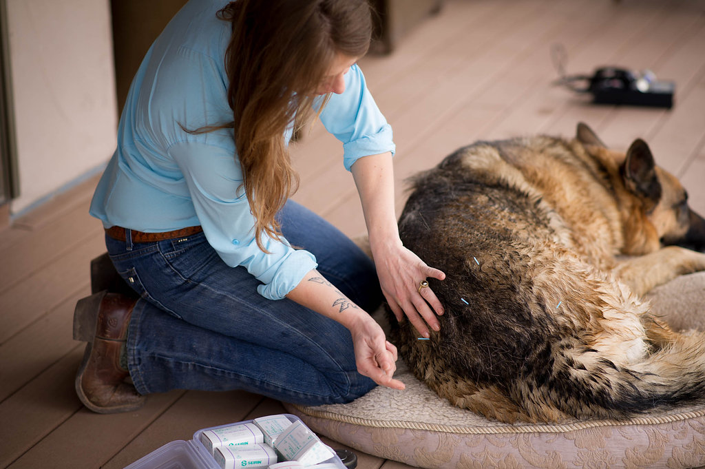 Mobile Integrative Care
