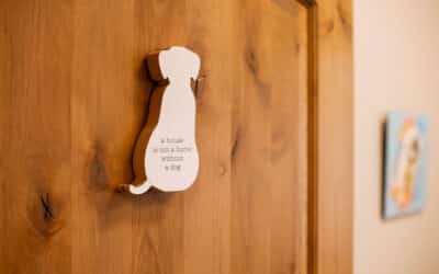 Wellness Plans: Proactive Care That Pays Off