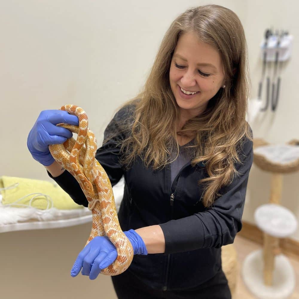Animals Species We Treat Eagle CO | On-Site Veterinary